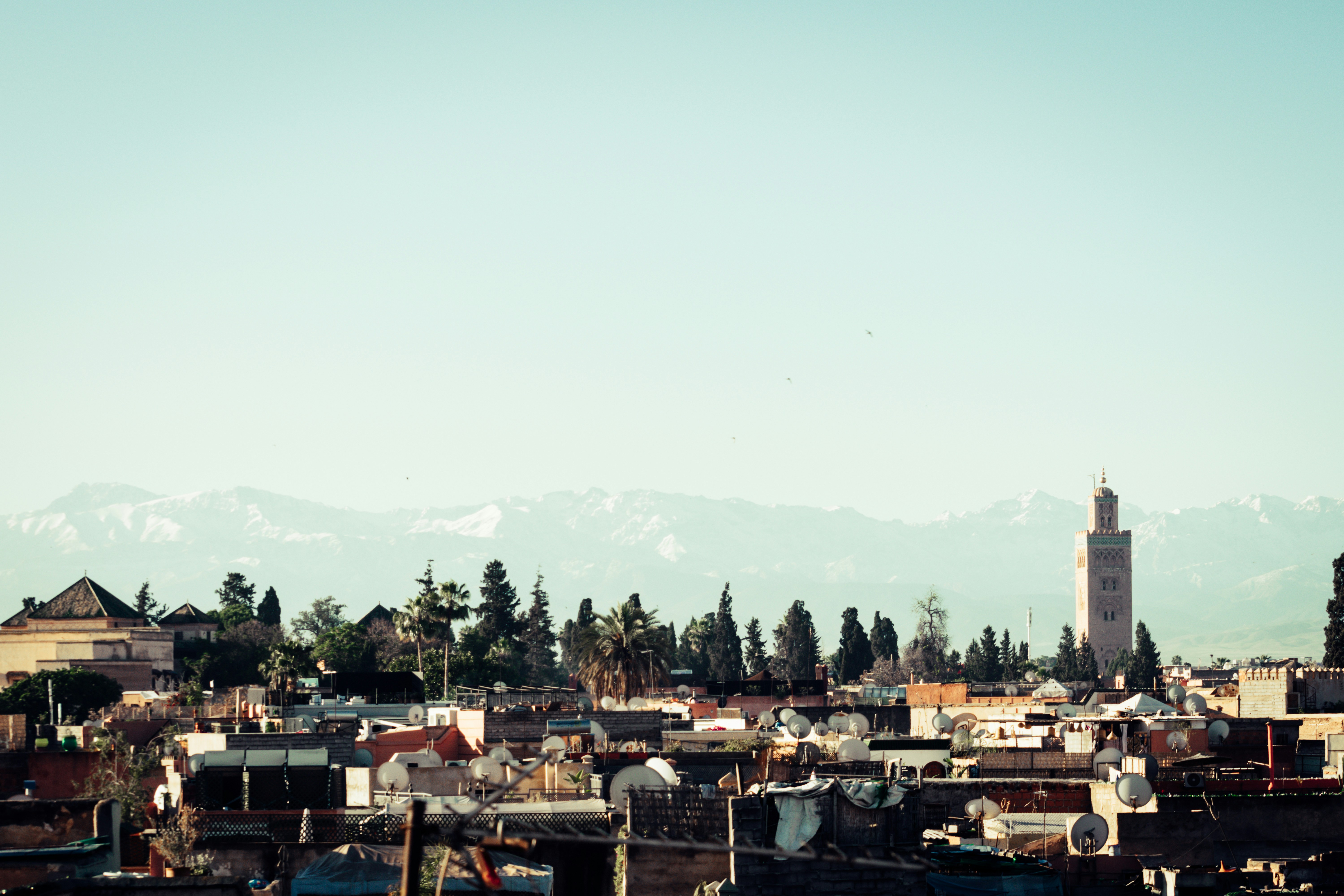 Photo by bricepbrown