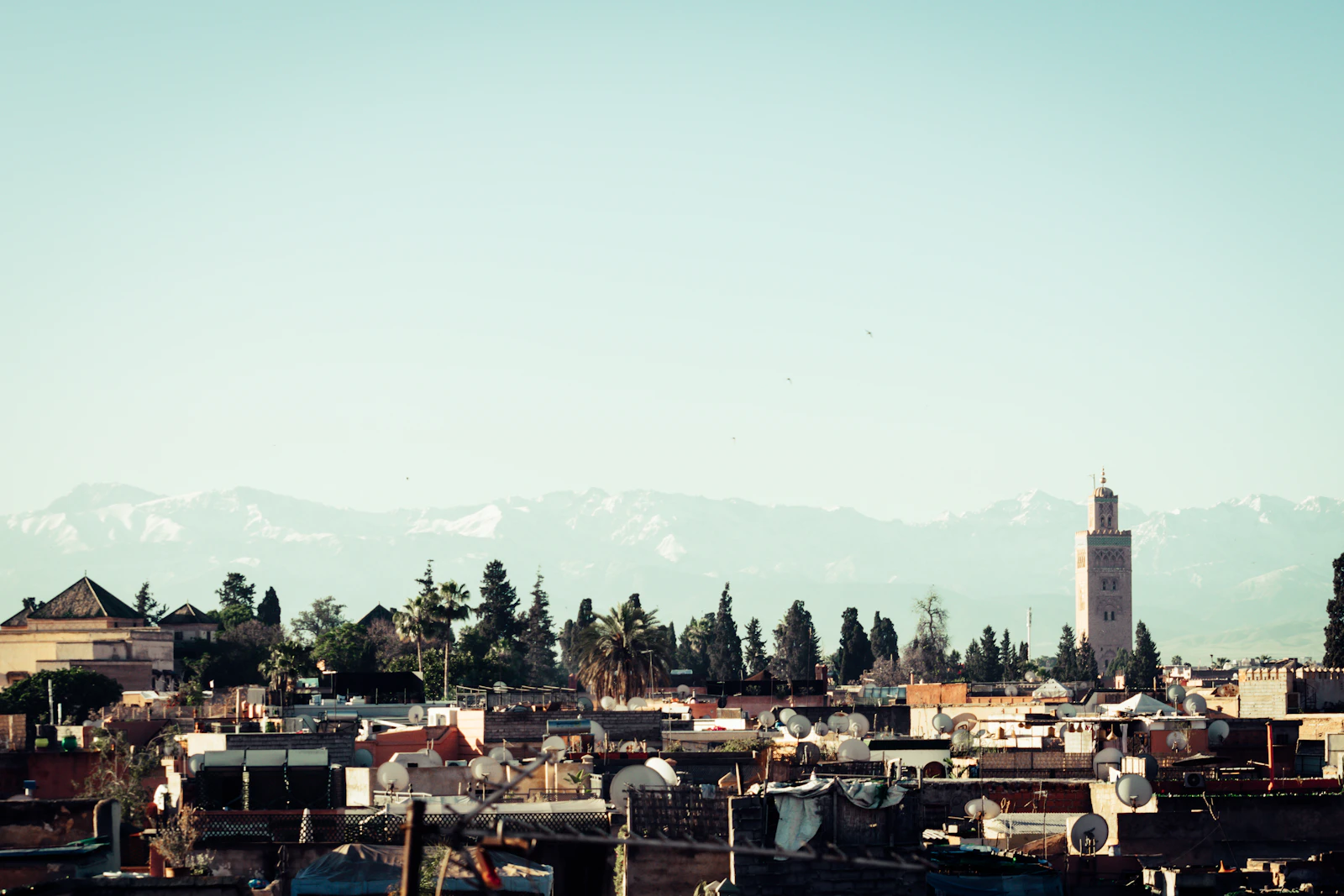 Marrakech rooftops with the Atlas Mountains in the distance