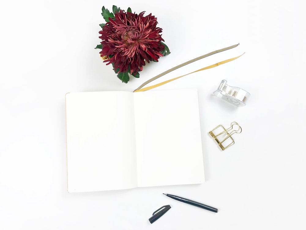 an open notebook next to a flower and a pair of scissors