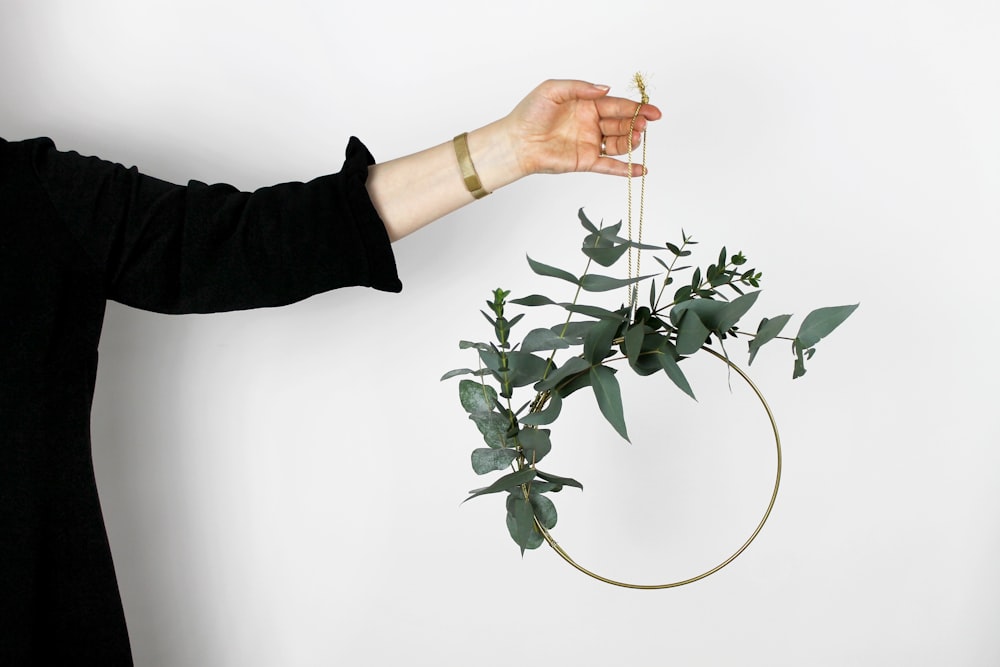 person carrying green leaf plant