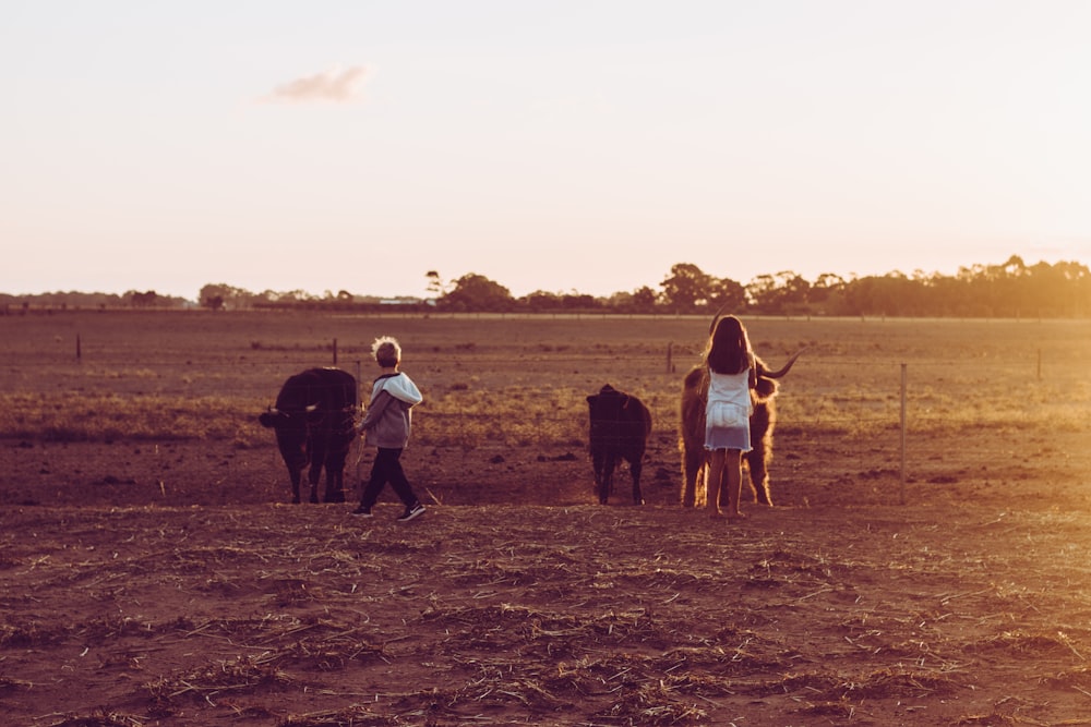 menino e menina em pé na frente das vacas