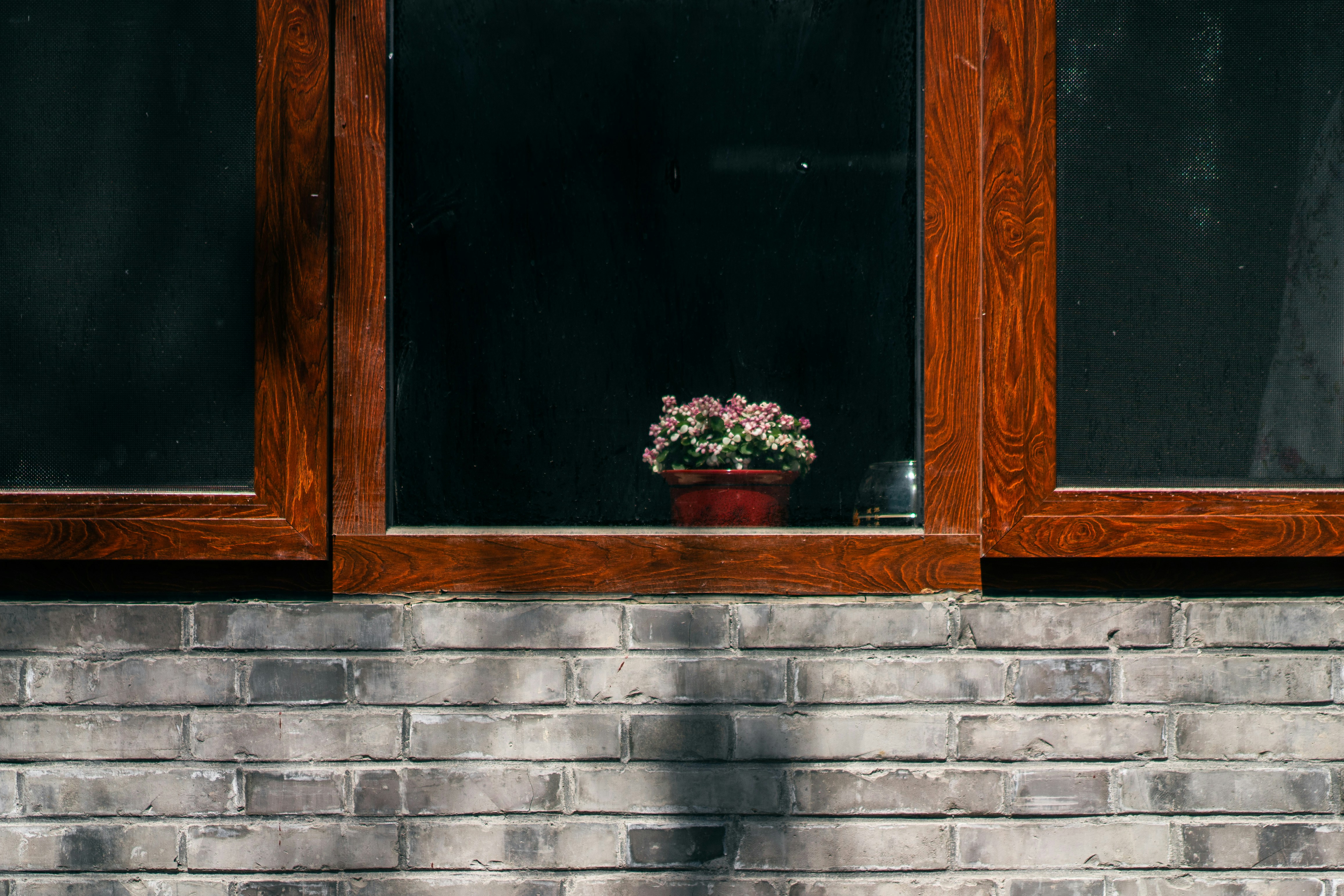 Photo by juniperphoton