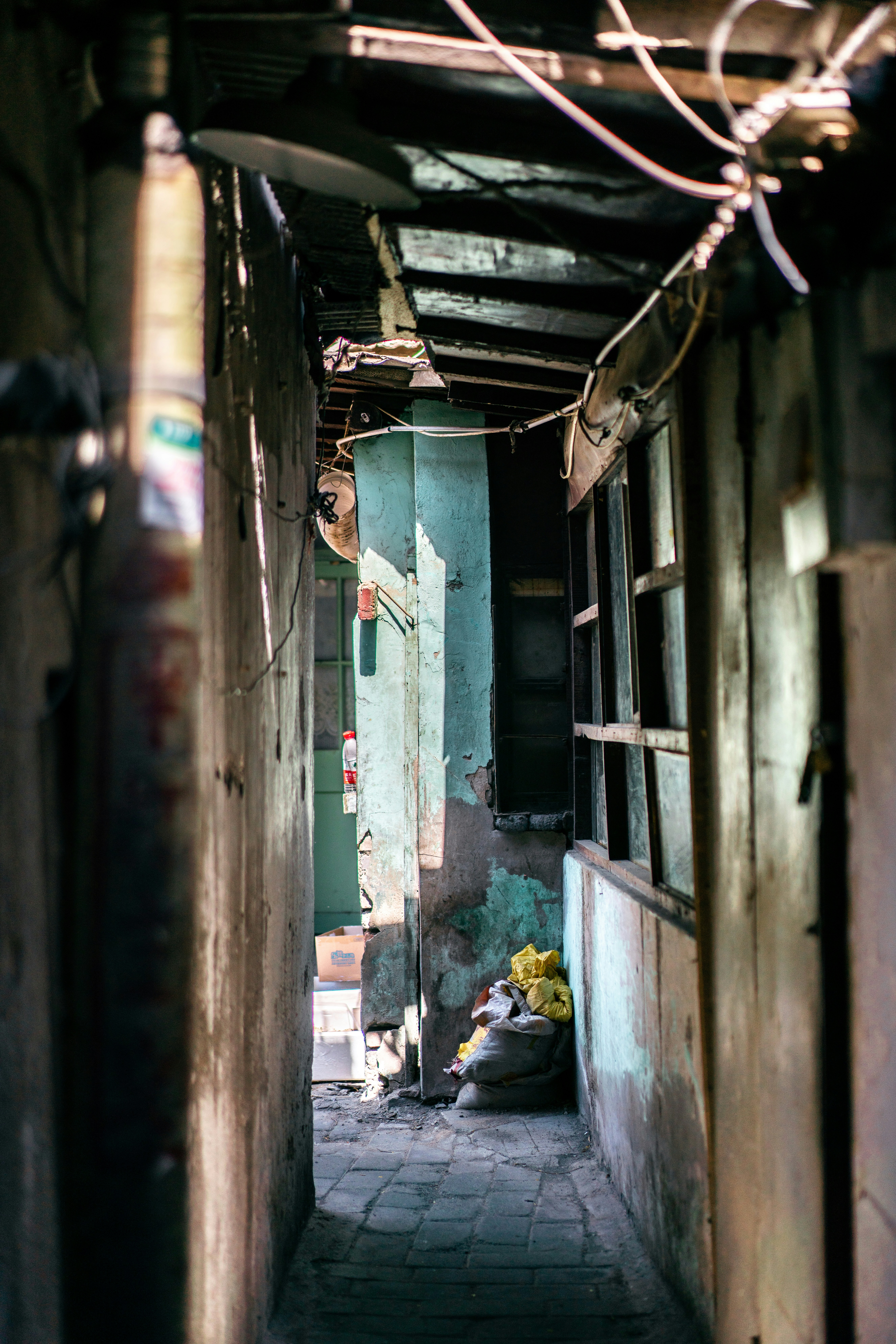 Photo by juniperphoton