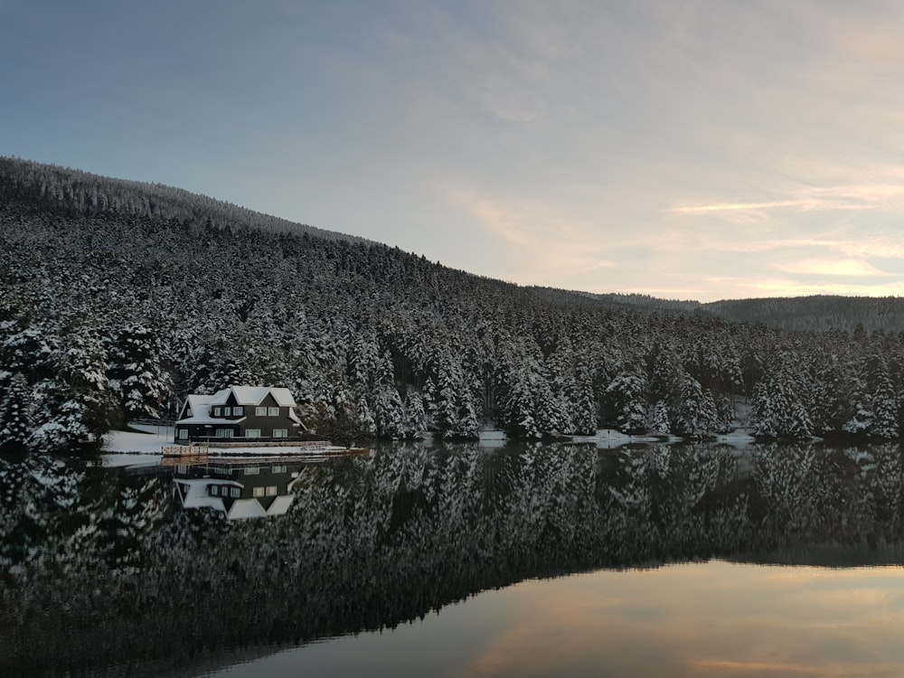 white house near body of water in the middle of forest