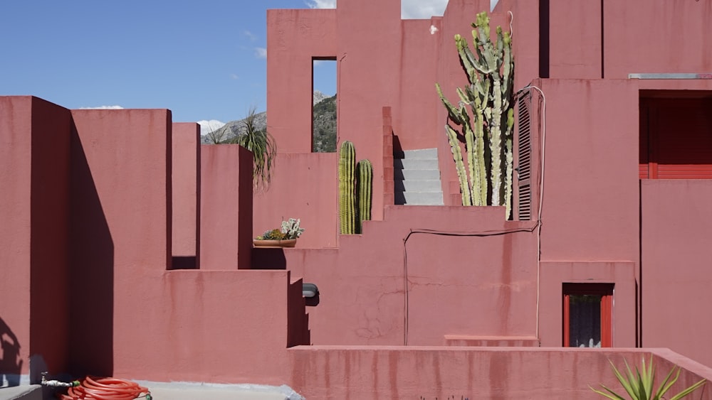 red concrete building with cactus