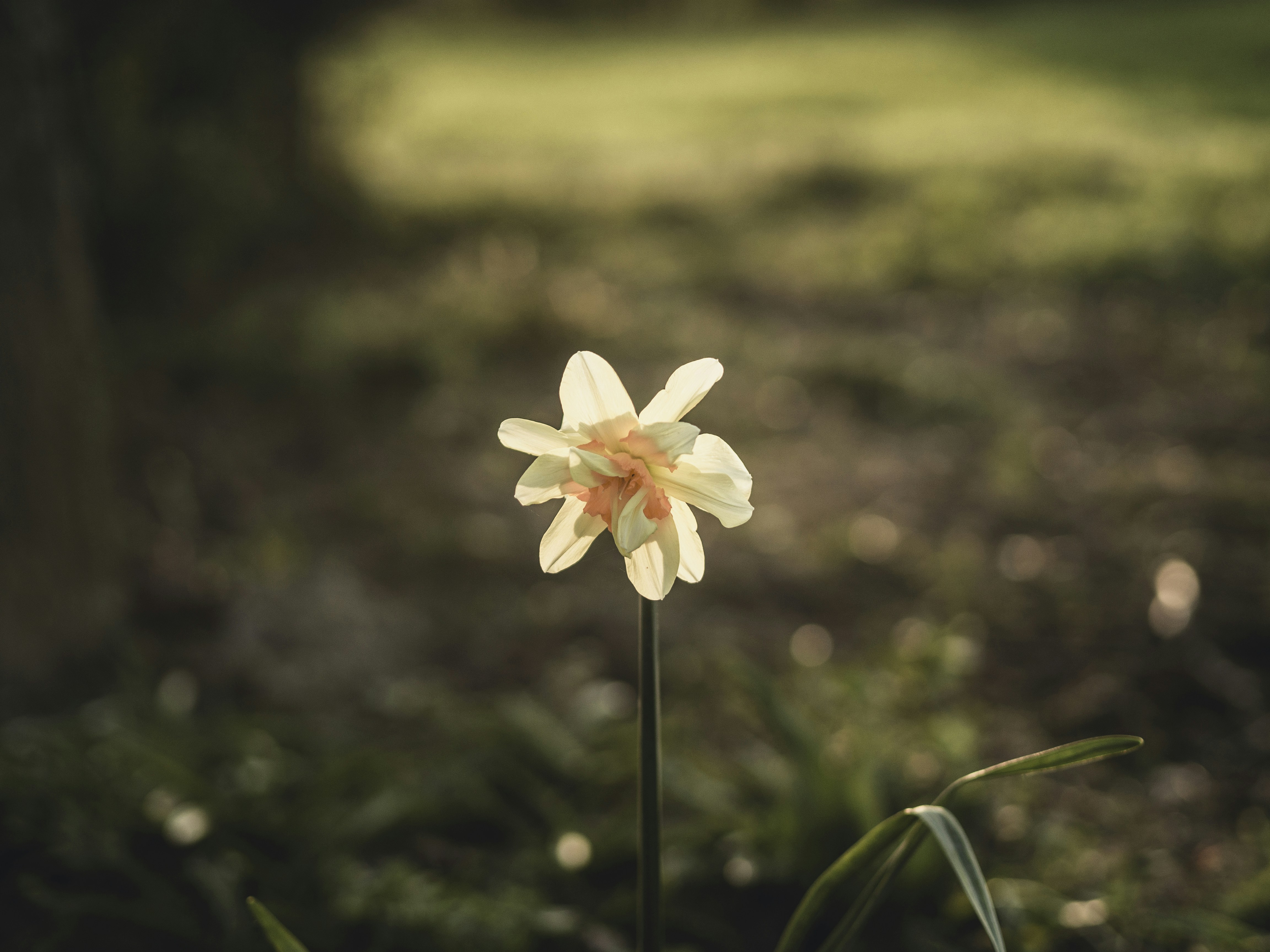 Photo by milandegraeve