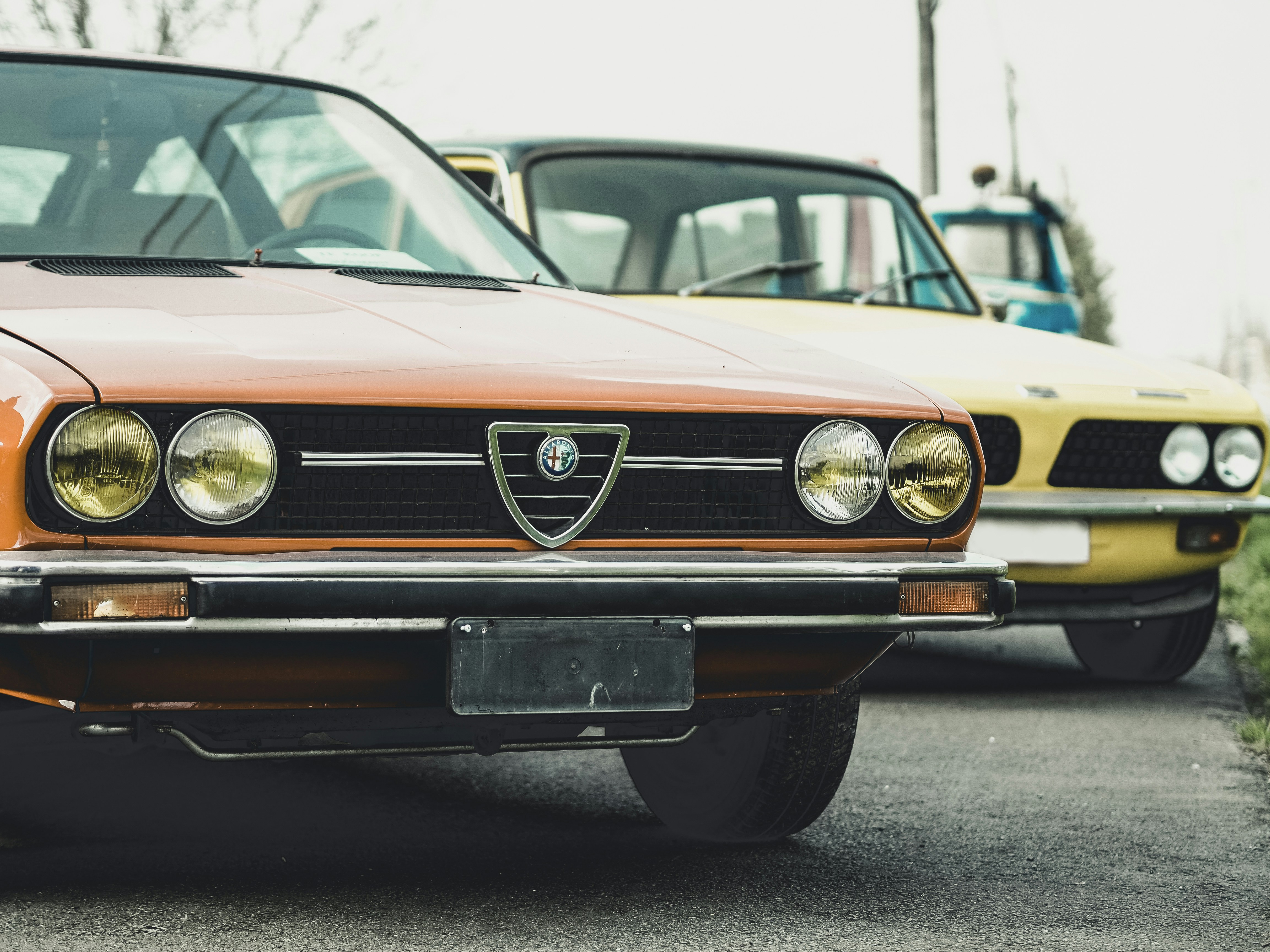 Photo by milandegraeve