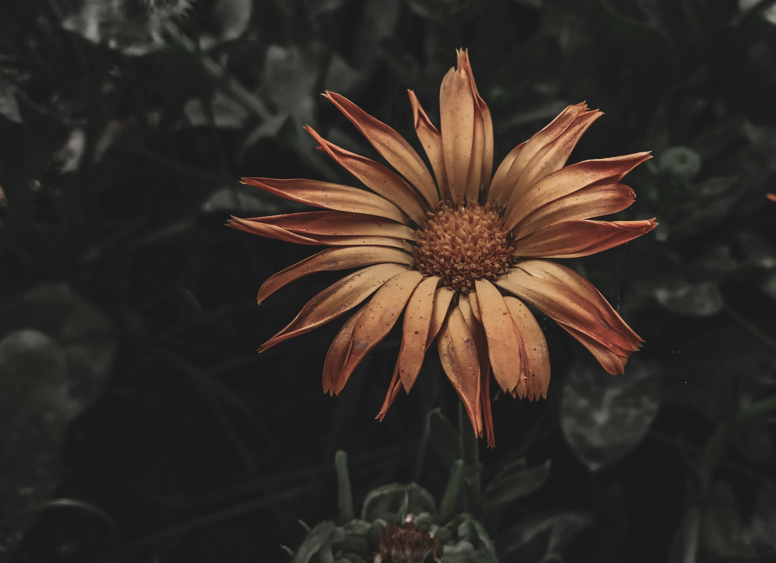 Photo by its__strange__