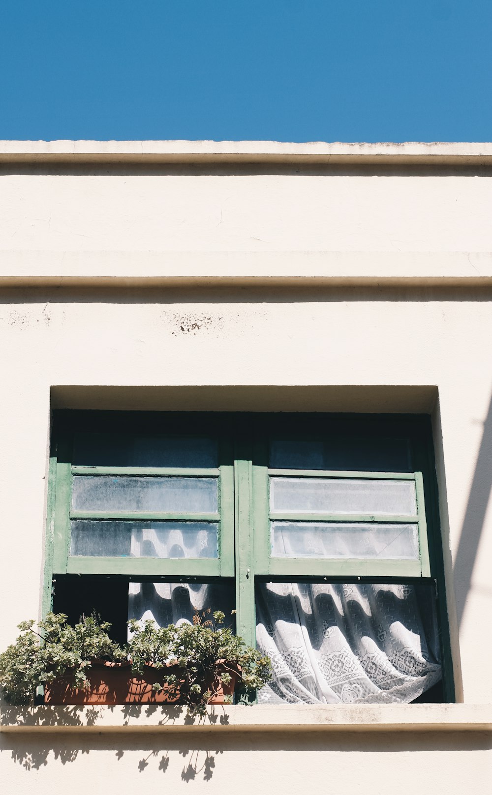 open green wooden windows