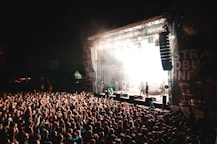 crowd of people watching performance at night