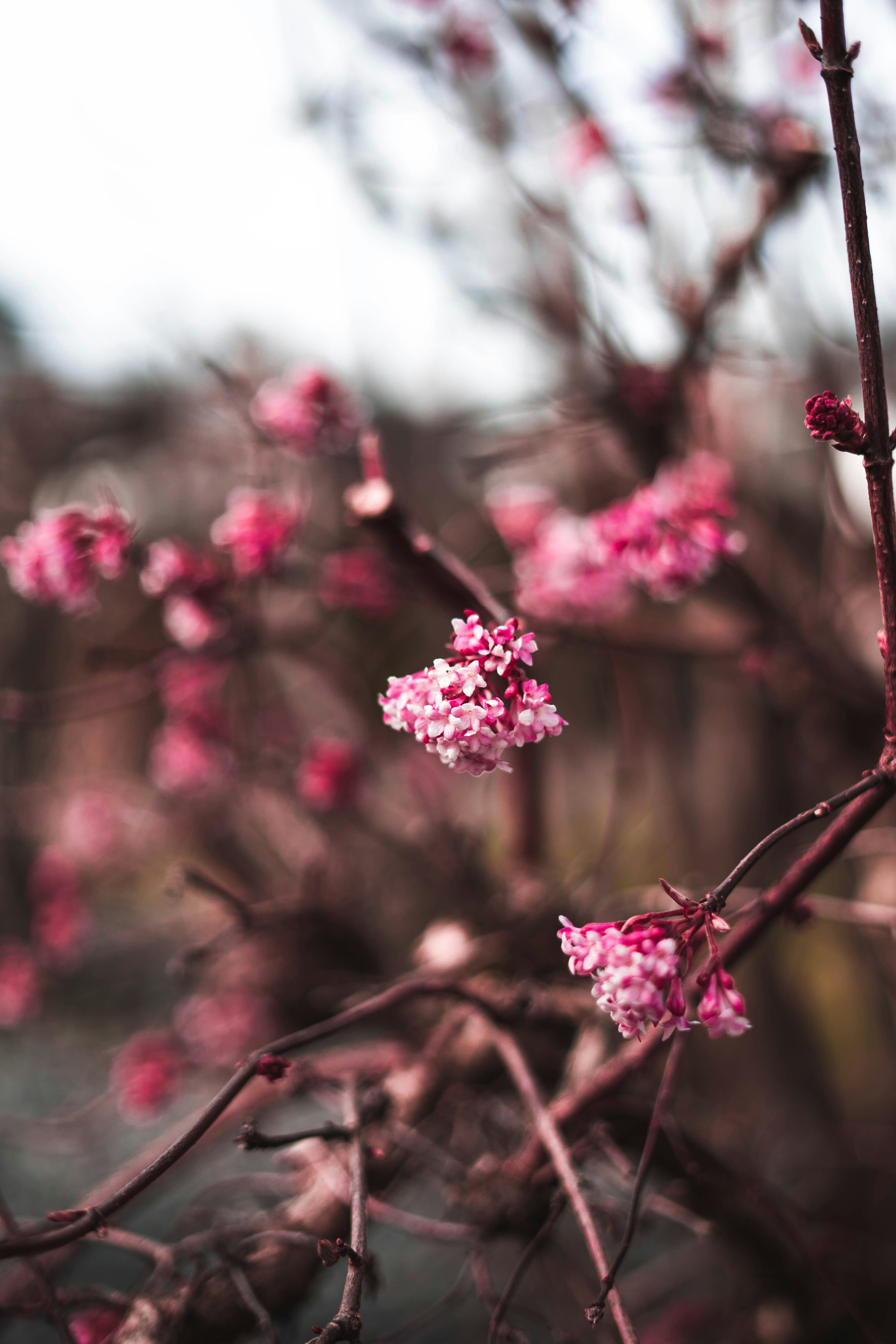 Photo by virussinside