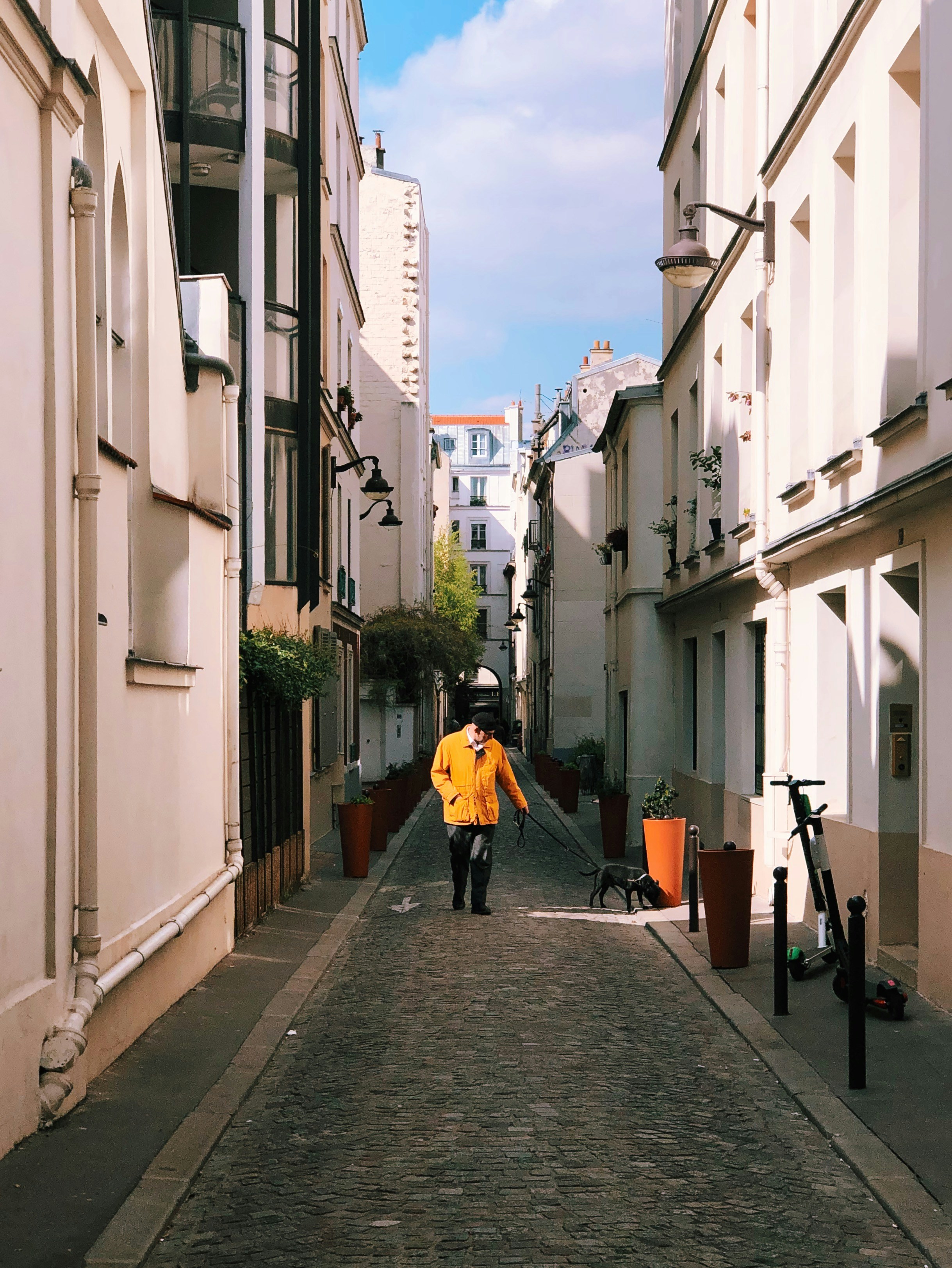 man walking with dog on street beside houses