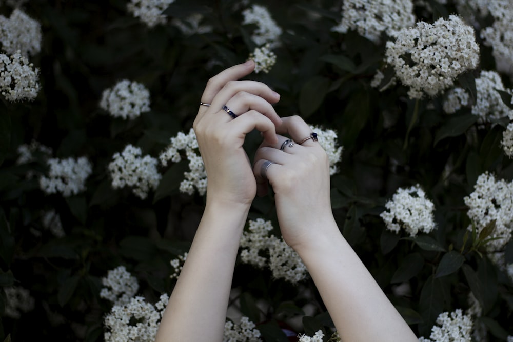 Hände, die weiße Blumen halten
