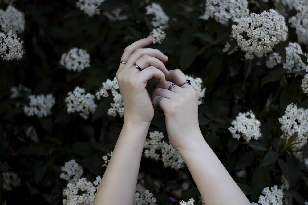 hands holding white flowers