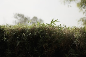 Photo 1555270454 Ad67ee21c32e?q=85&w=275&h=275&fit=crop