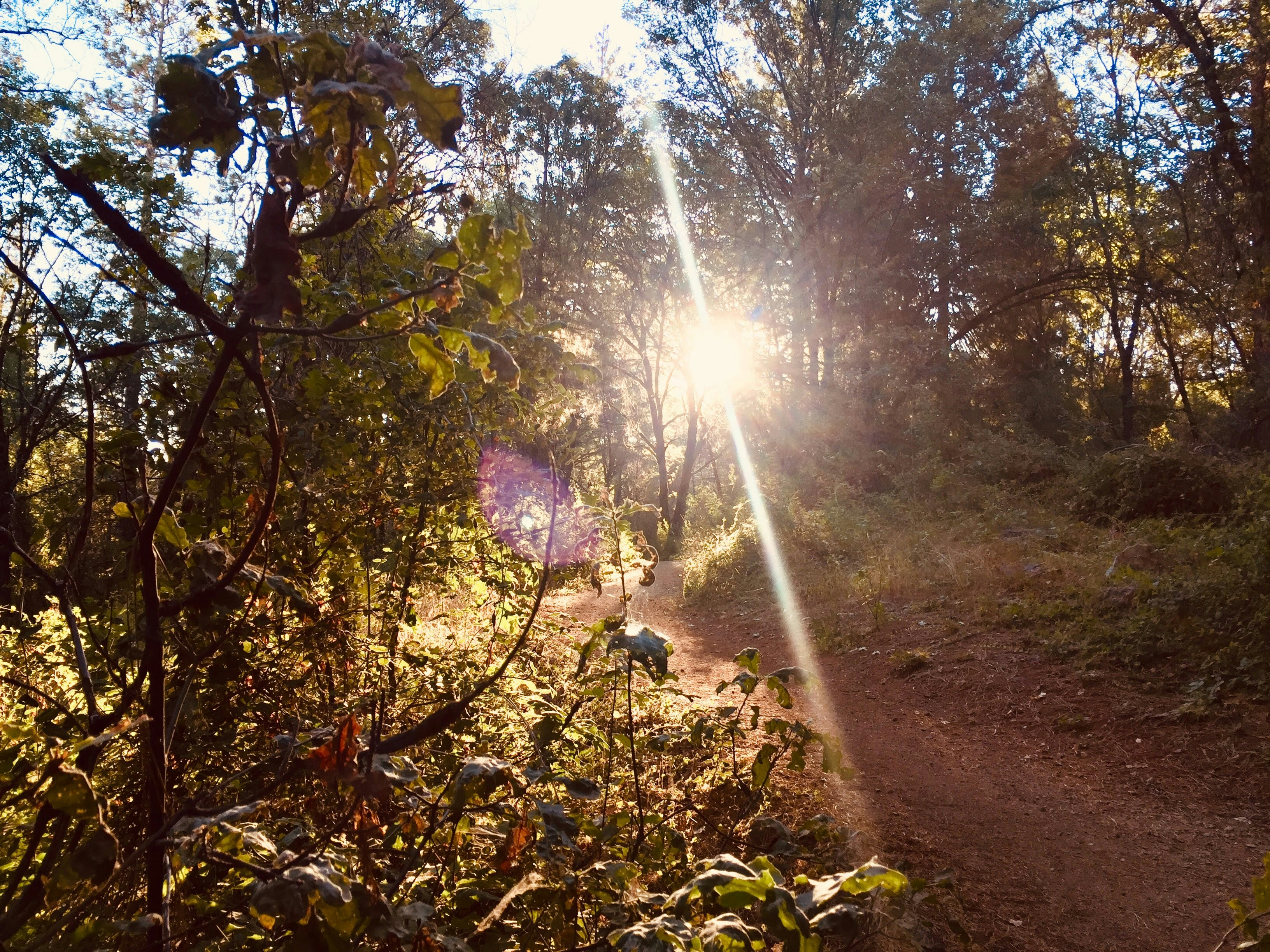 Hiking trails for beginners near me