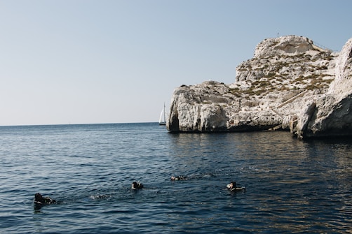 A group of divers swims in a calm, deep blue sea near a rocky cliff. In the background, a sailboat can be seen on the horizon, set against a clear sky.
