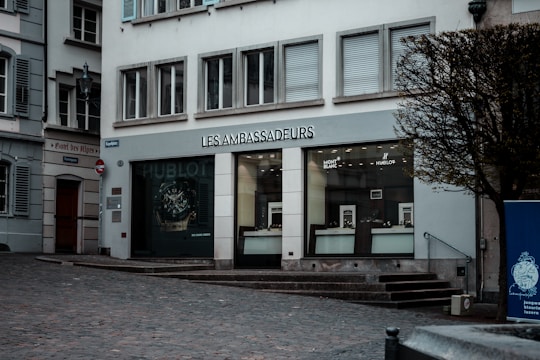 A street scene featuring a corner building housing a shop named Les Ambassadeurs. The storefront displays luxury watch brands such as Hublot and Mont Blanc. Large windows reveal watch displays inside. The surrounding cobblestone street is bordered by classical-style buildings, and a tree partially conceals the view on the right side. A street sign and a poster are visible on the left.