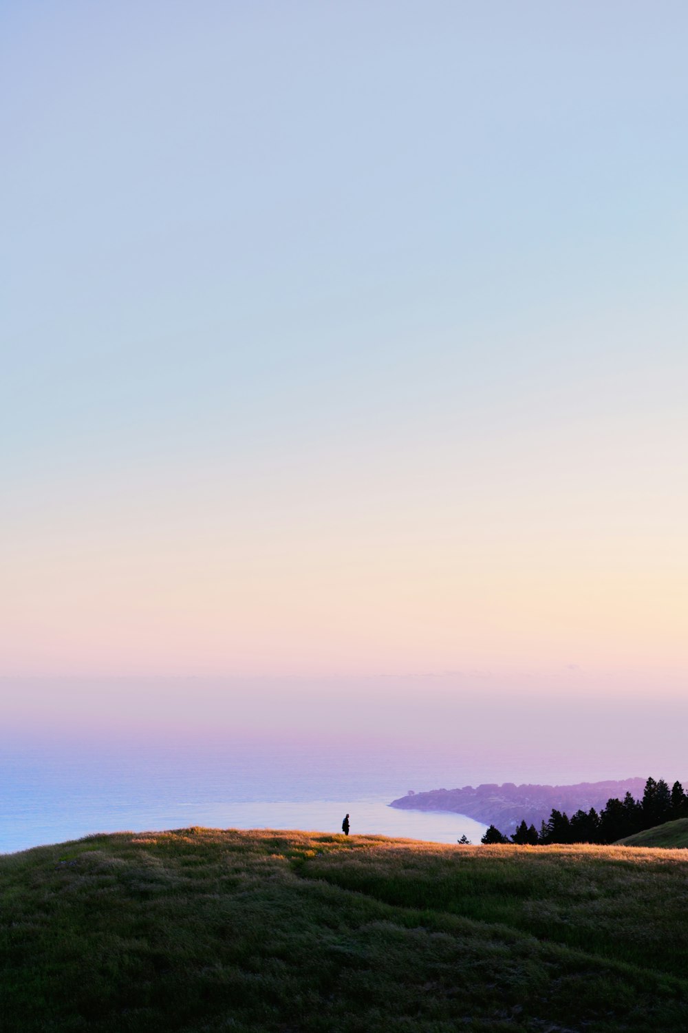 a person standing on top of a grass covered hill