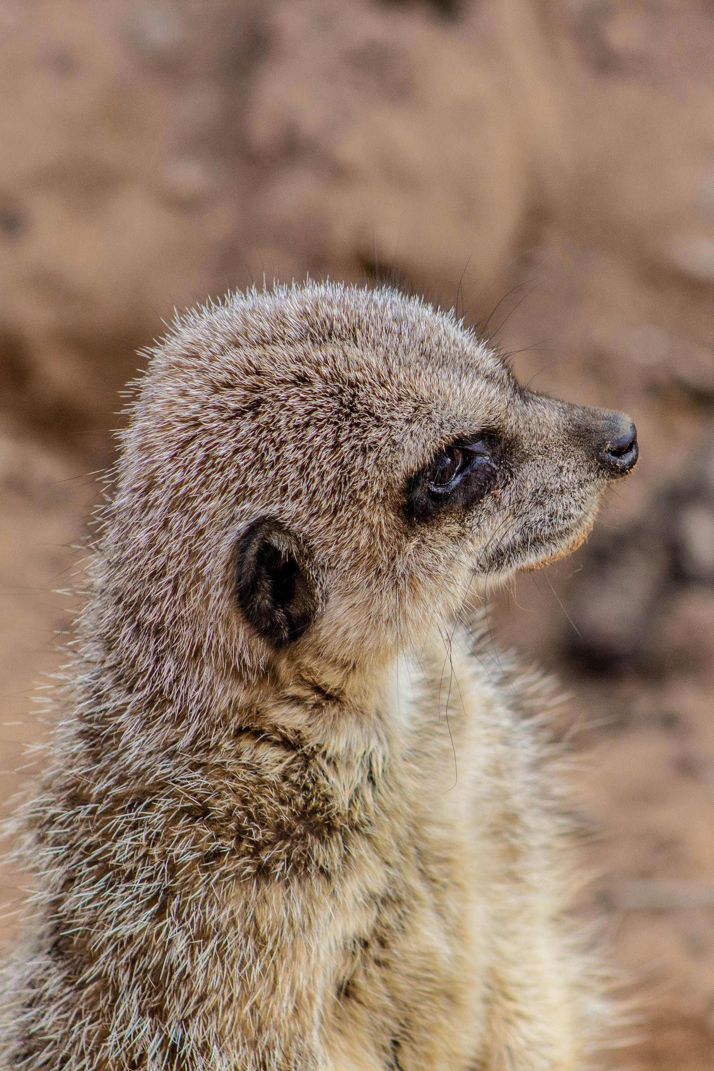 Photo by keepsakes_and_daydreams