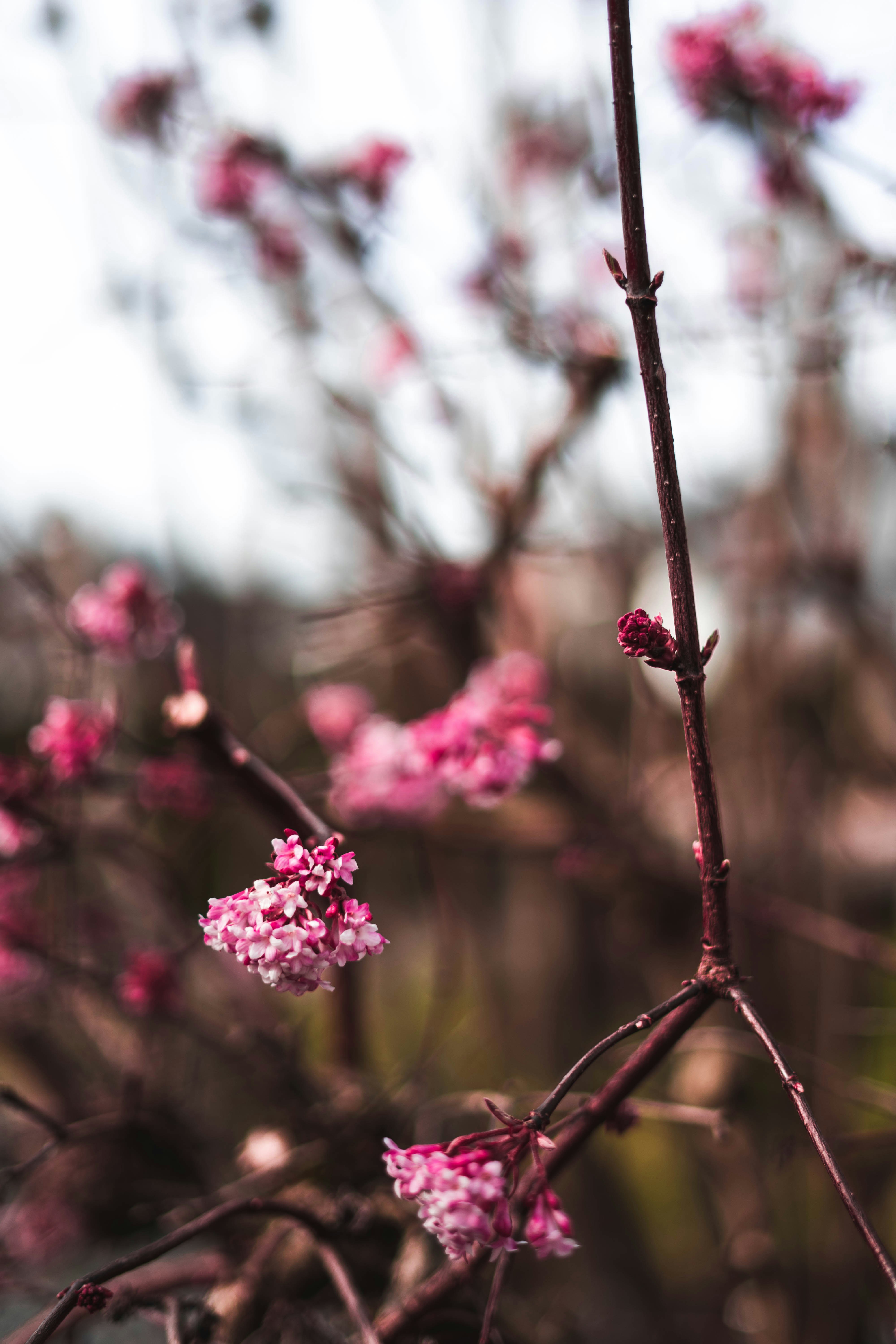 Photo by virussinside