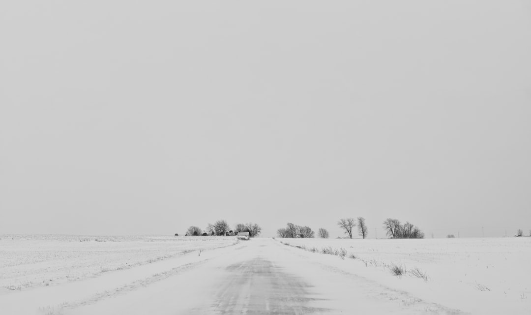 snow-covered road during daytime