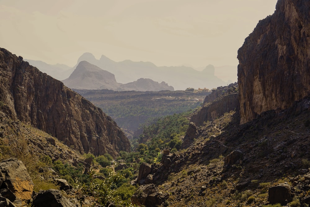 rock mountains covered with green bushes