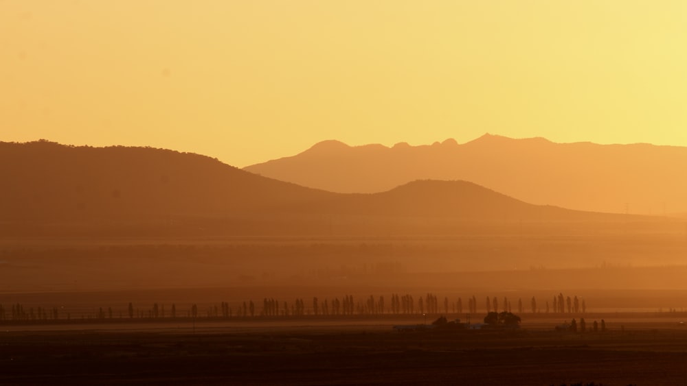 desert during dusk