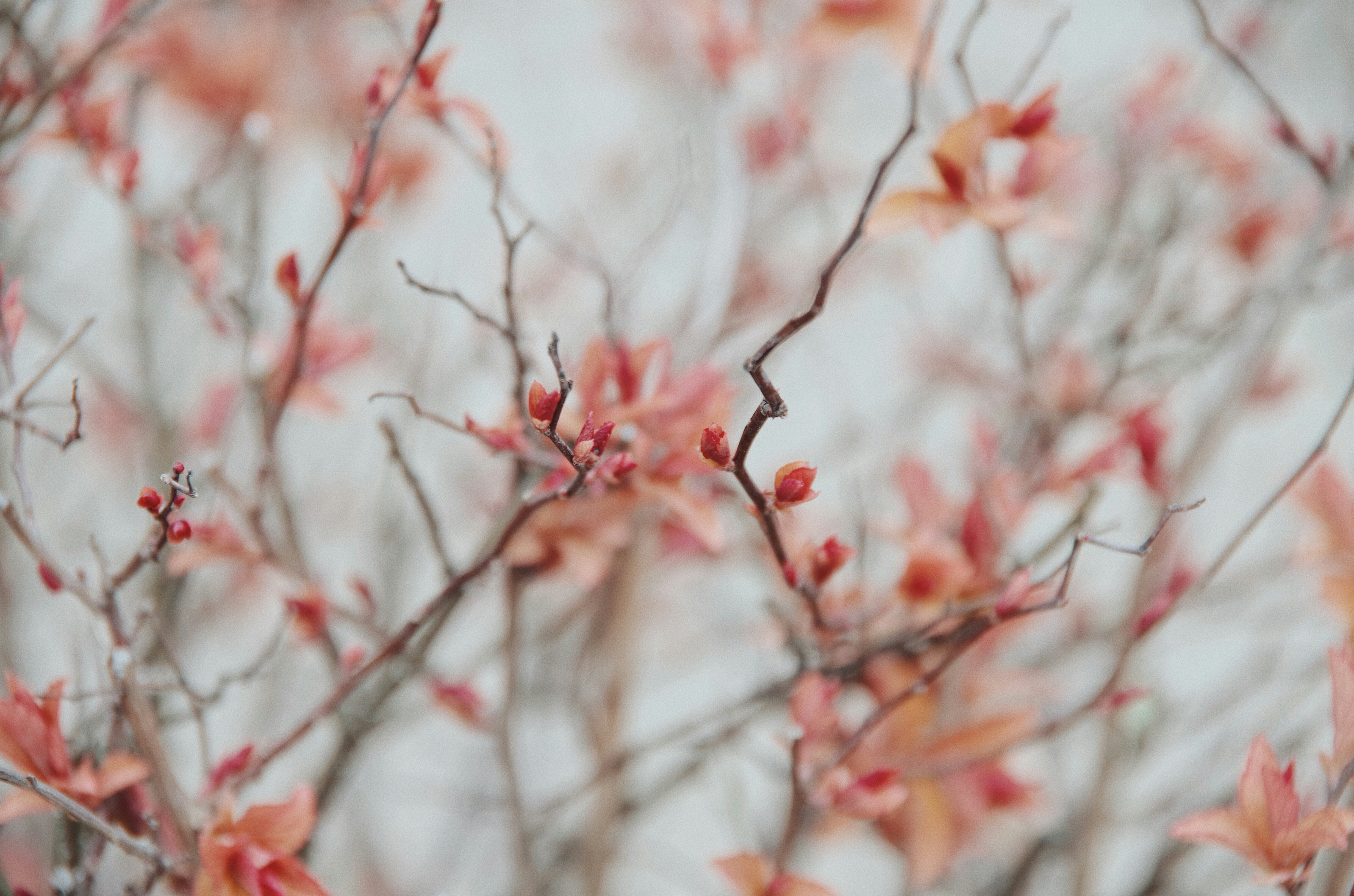 Photo by tatiannavoiset