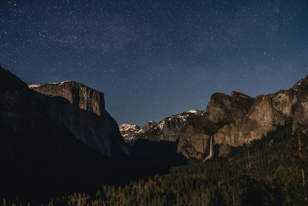 aerial photography of trees and mountain