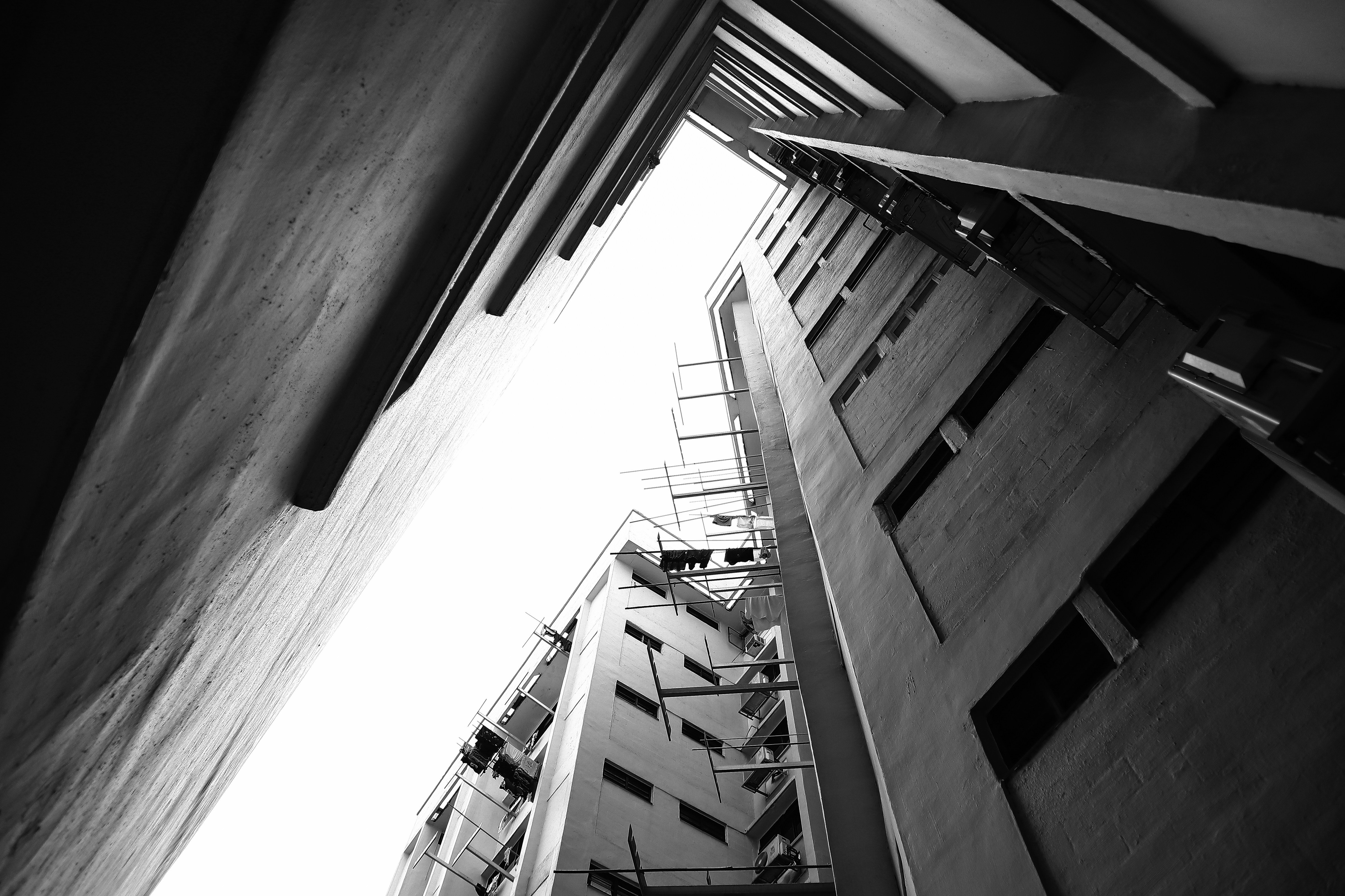 Photo by curry_magic02