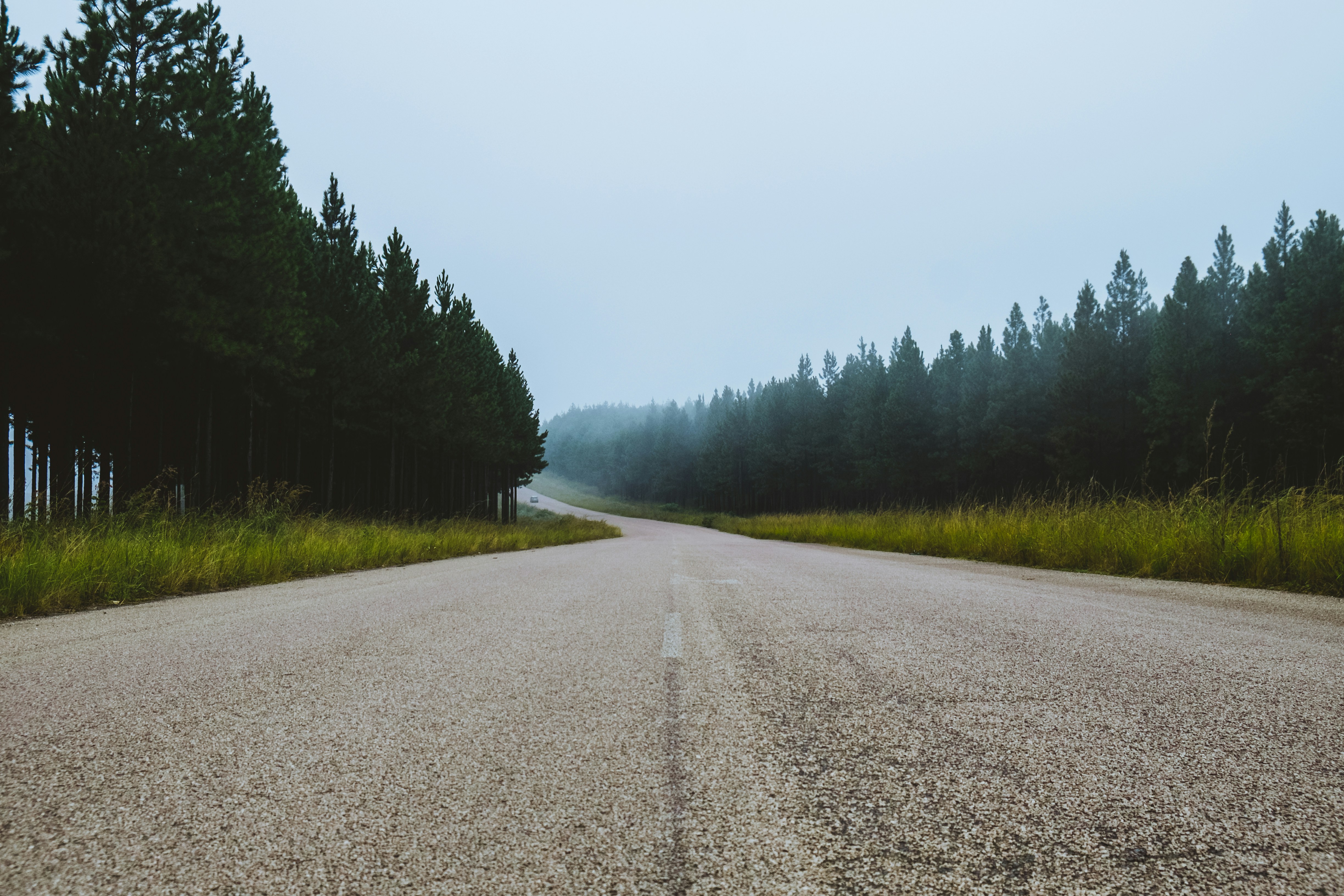 Photo by daniellexsmit