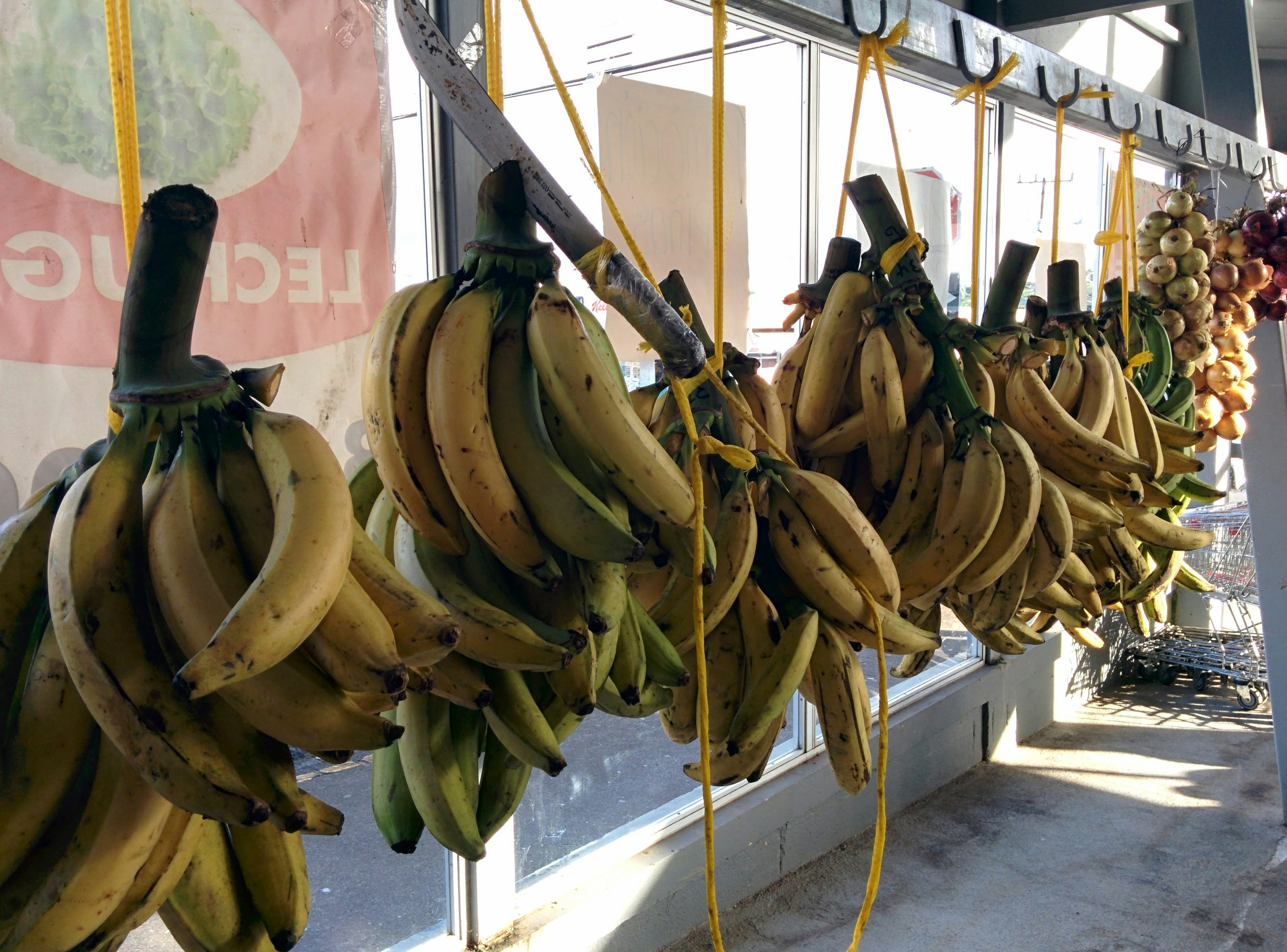 Cara Mencari Buah Pisang yang Baik dan Nikmat