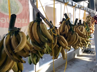 A variety of banana bunches hang from hooks attached to a metal rod in a market setting. The bananas are of different shades, ranging from green to yellow, indicating varying levels of ripeness. Behind them, there are some onions or similar produce hanging. The sunlight streams in through large windows, casting shadows on the bananas, and parts of a sign with green leafy vegetables can be seen partially.