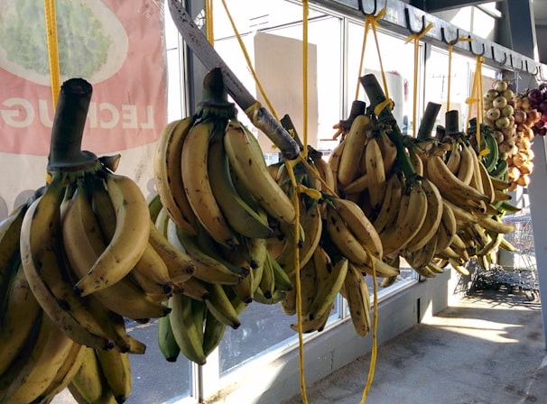 A variety of banana bunches hang from hooks attached to a metal rod in a market setting. The bananas are of different shades, ranging from green to yellow, indicating varying levels of ripeness. Behind them, there are some onions or similar produce hanging. The sunlight streams in through large windows, casting shadows on the bananas, and parts of a sign with green leafy vegetables can be seen partially.
