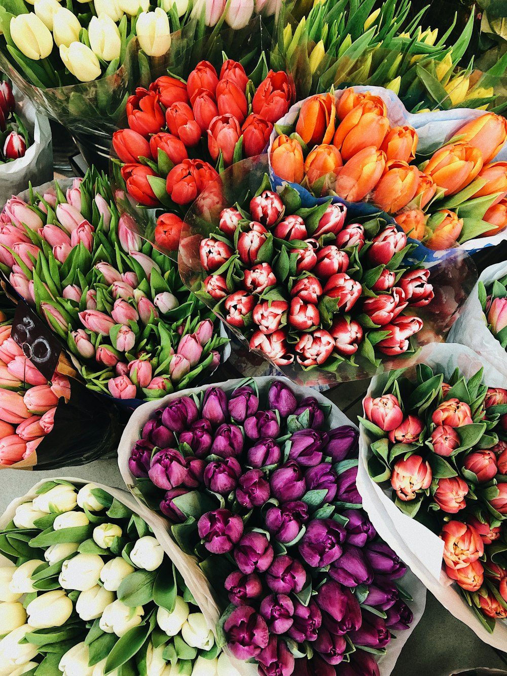 assorted-color flowers