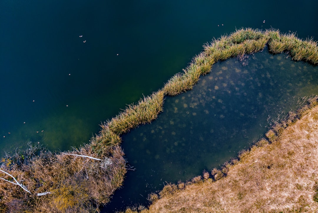 Underwater photo spot Helfenberg Switzerland