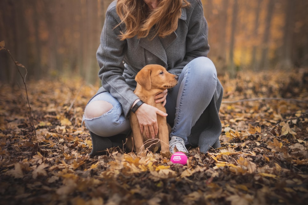 person holding puppy