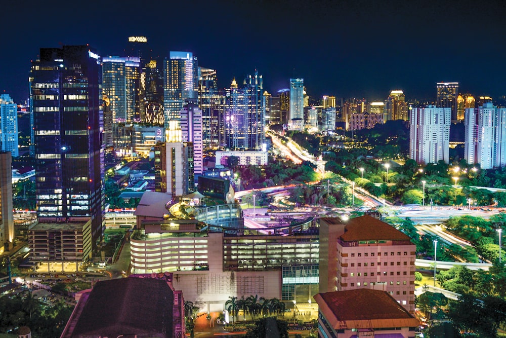 cityscape with lights turned-on during nighttime