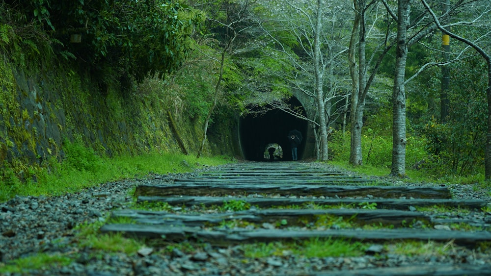 tunnel during daytime