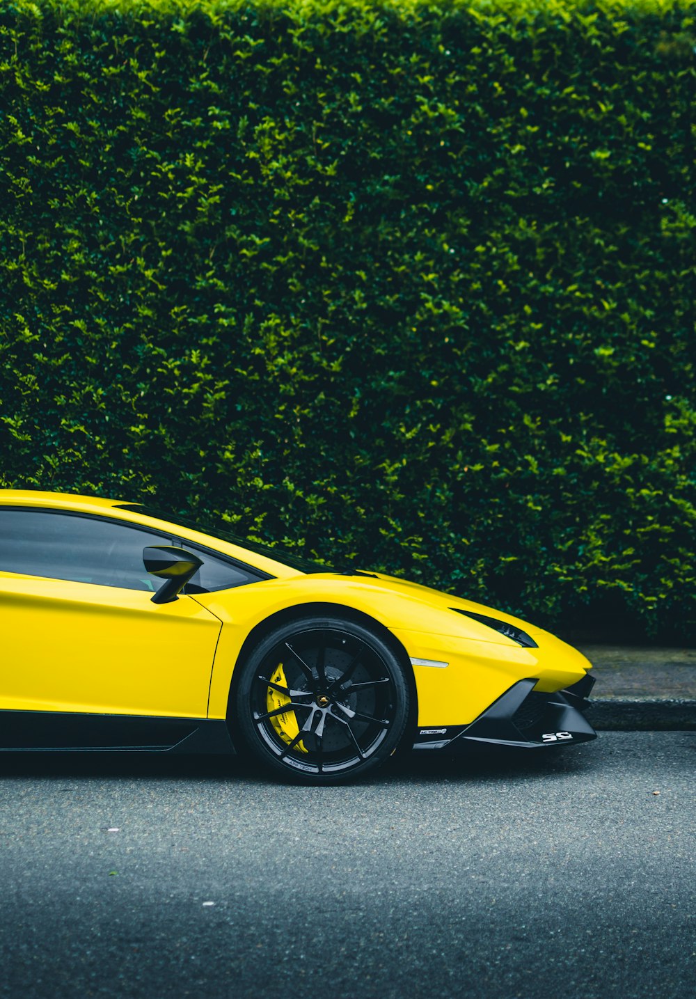 Lamborghini coupé amarillo aparcado junto a un arbusto
