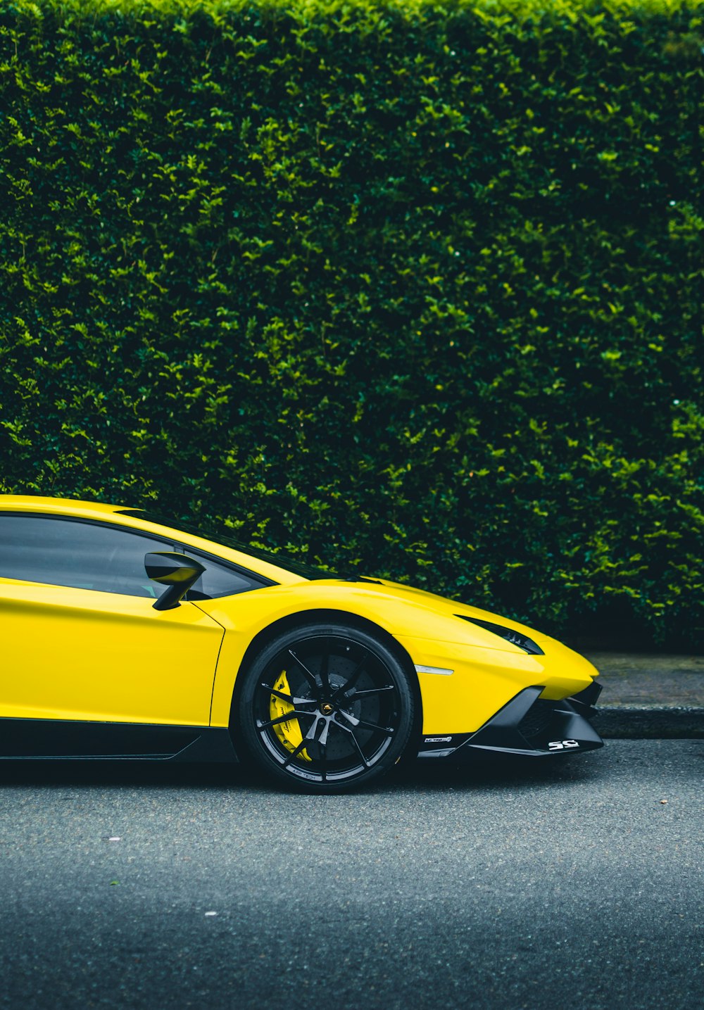 coupé Lamborghini jaune garé à côté d’un buisson