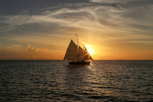 gray sailboat sailing