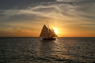 gray sailboat sailing