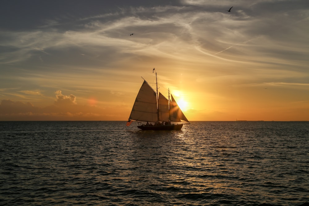 gray sailboat sailing