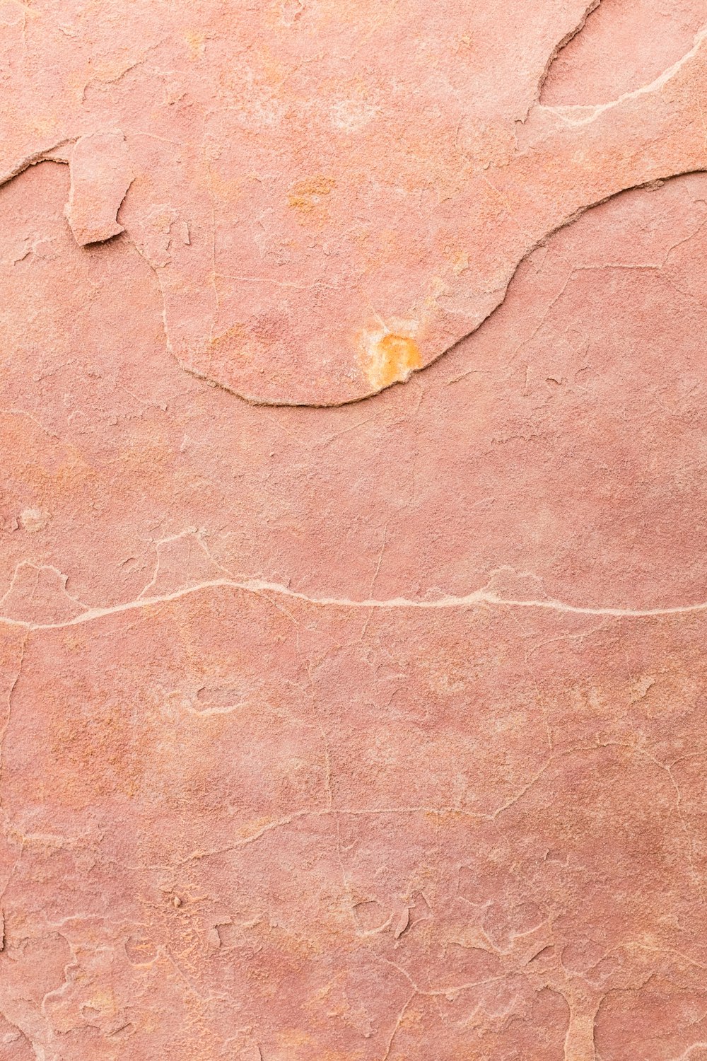 a bird is sitting on a red rock