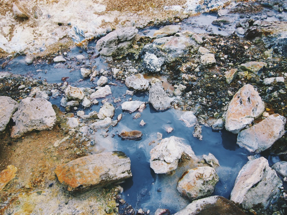 a small stream of water surrounded by rocks