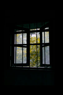 A room with windows open, showing fresh air flowing to reduce cannabis smoke odors.
