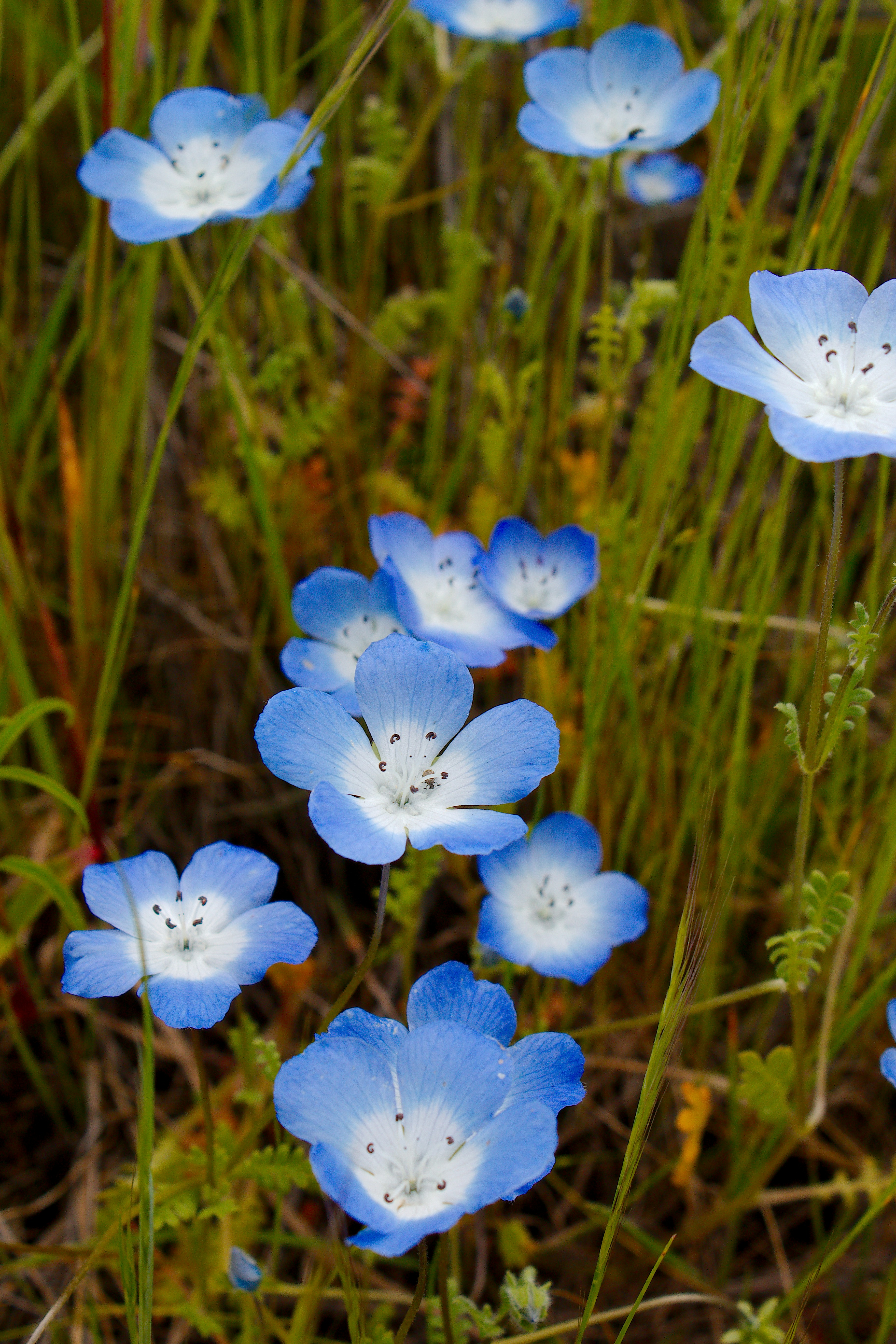 photo-1555346327-f4eb20ee55ea?ixlib=rb-1.2.1&ixid=eyJhcHBfaWQiOjEyMDd9&auto=format&fit=crop&w=934&q=80