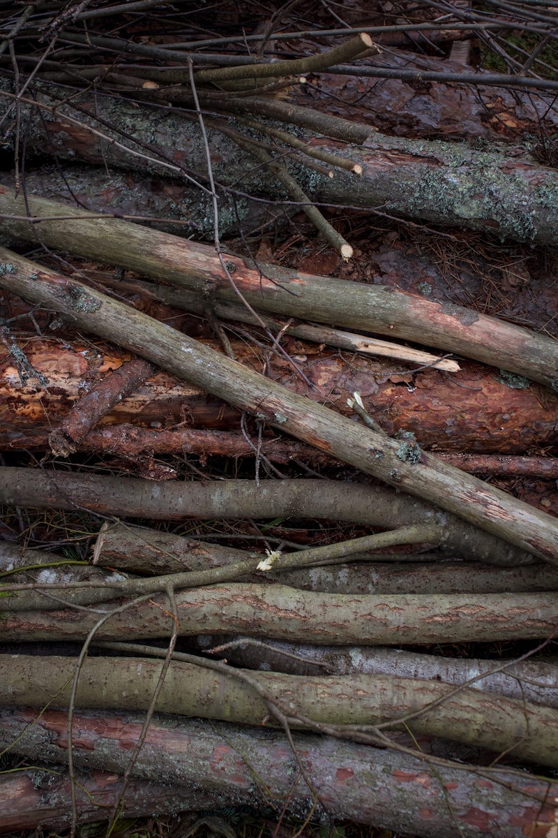 Yard Waste Removal